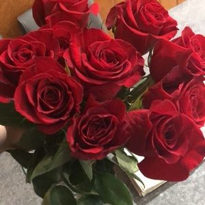 Meet your Posher, Leslie